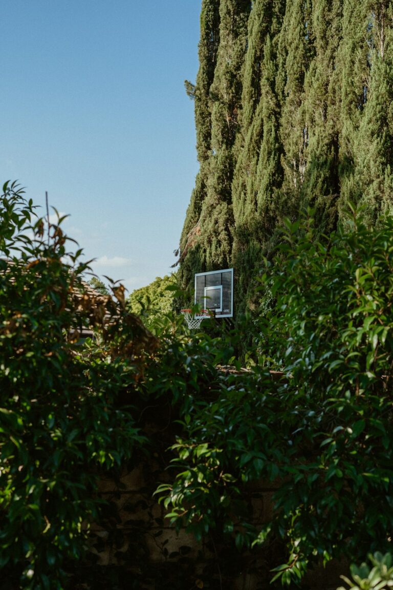 Understanding Rebounds After a Breakup: Healing or Harmful?