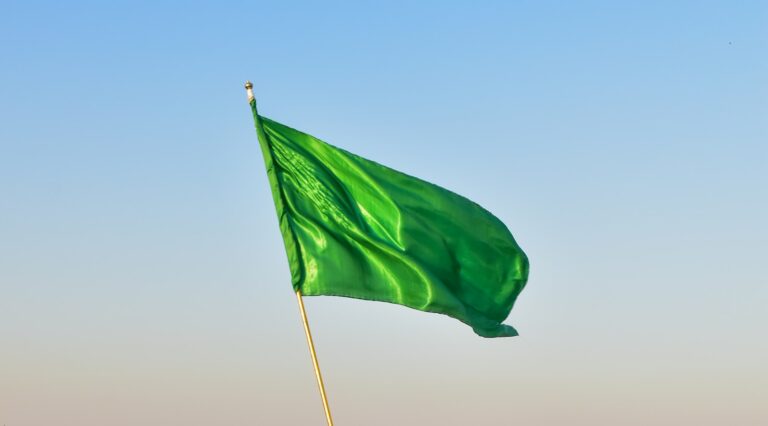 Relationship Green Flags for Healthier Connections