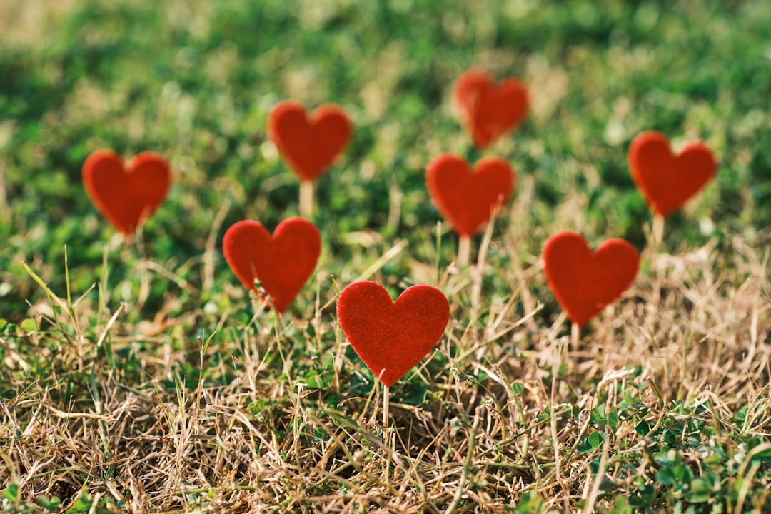 a group of red hearts sitting on top of a grass covered field