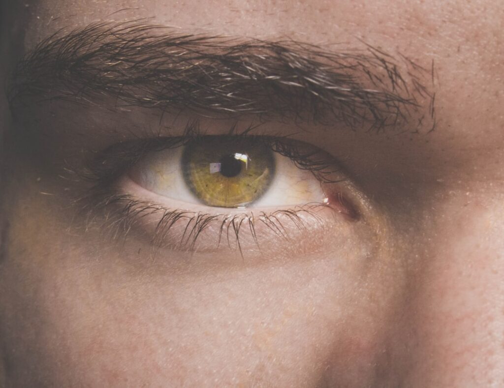 person with brown eye